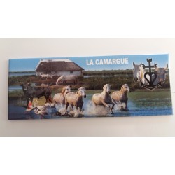 Magnet Panoramique Camargue