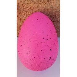 Eclosion Oeuf Grand Format - Flamant Rose