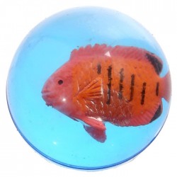 Balle Rebondissante Poissons Tropicaux 3