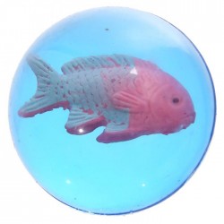 Balle Rebondissante Poissons Tropicaux 4