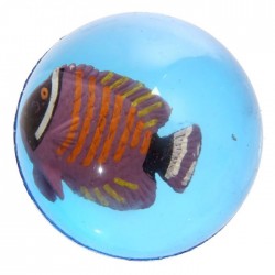 Balle Rebondissante Poissons Tropicaux 6