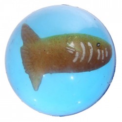 Balle Rebondissante Poissons Tropicaux 7
