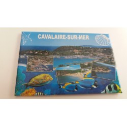 Magnet Cavalaire-Sur-Mer - 4 Poissons