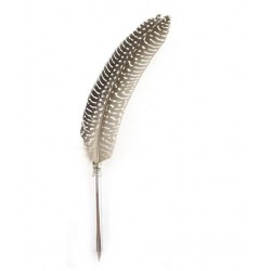 Plume Stylo Pintade