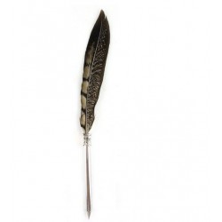 Plume Stylo Faisan Foncé
