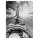 Sticker Cleaner Tour Eiffel