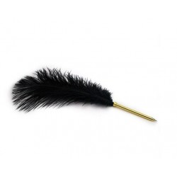 Plume Autruche Noire