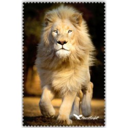 Chif' Fou' Net Lion Blanc