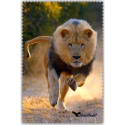 Chif' Fou' Net Lion Court
