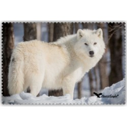 Chif' Fou' Net Loup Blanc
