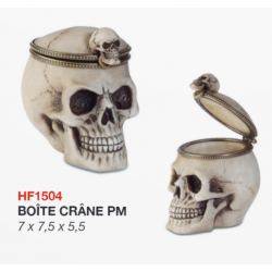 Boîte Crâne