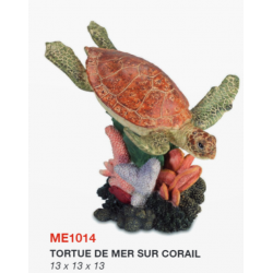 Tortue de Mer sur Corail