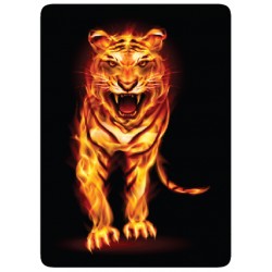 Tigre feu