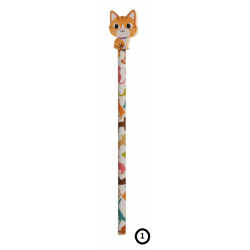 Crayon et Gomme Chat 1