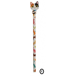 Crayon et Gomme Chat 2