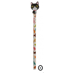 Crayon et Gomme Chat 4