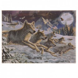 Magnet Loup 5
