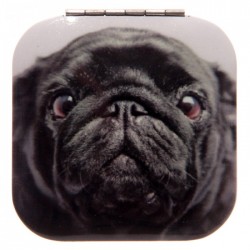 Miroir  Chien Carlin 1