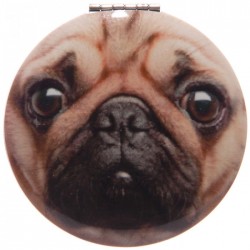 Miroir  Chien Carlin 2