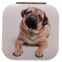 Miroir  Chien Carlin 3