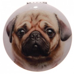 Miroir  Chien Carlin 4