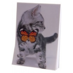 Carnet de Note Chaton 5