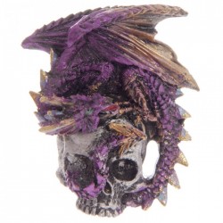 Magnet Dragon sur Crâne (Violet)