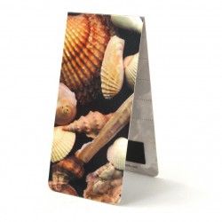 Coquillages