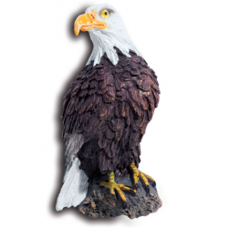 Magnet Aigle Pygargue 1