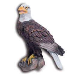 Magnet Aigle Pygargue 2