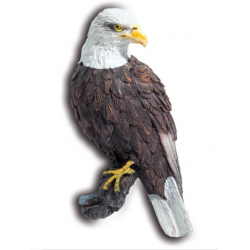 Magnet Aigle Pygargue 3