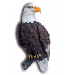Magnet Aigle Pygargue 4