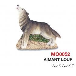 Magnet Loup