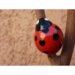 Magnet Coccinelle 