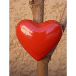 Magnet Coeur
