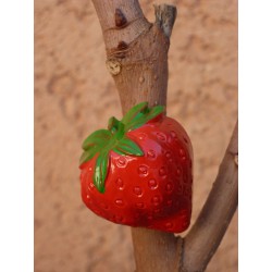 Magnet Fraise