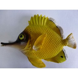 Magnet Poisson Tropical 2