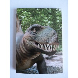 Carnet de Note Dinosaure 1