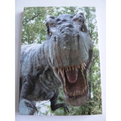 Carnet de Note Dinosaure 3
