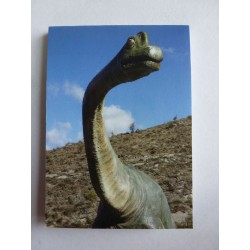 Carnet de Note Dinosaure 4