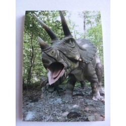 Carnet de Note Dinosaure 5