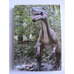 Carnet de Note Dinosaure 6
