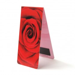 Rose Zoom