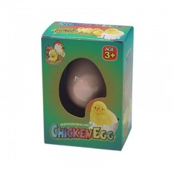 Eclosion Oeuf Poussin