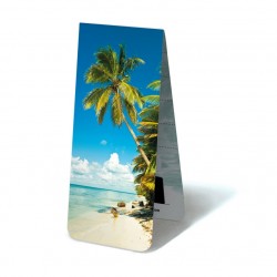 Plage Tropique