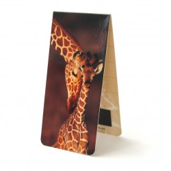 Girafes