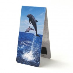 Dauphins
