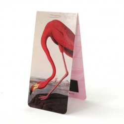 Flamant Rose