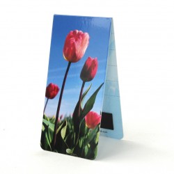 Tulipes