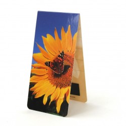 Tournesol + Papillon